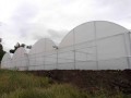DSC00798
